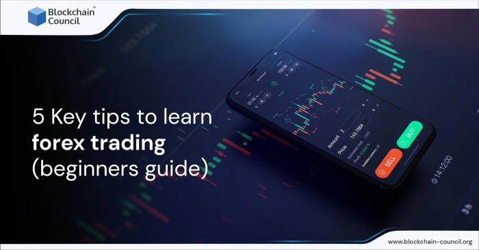 Forex trading techniques for beginners