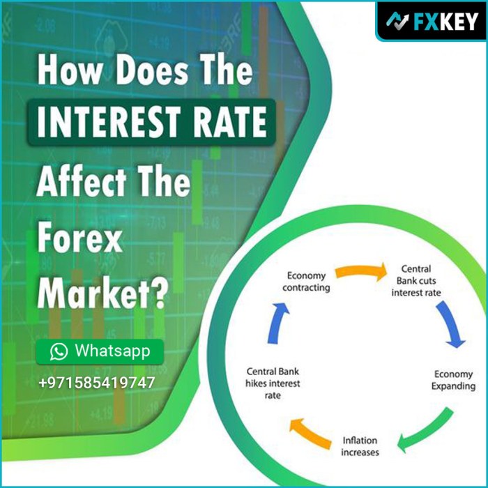 The Role of Interest Rates in Forex Trading