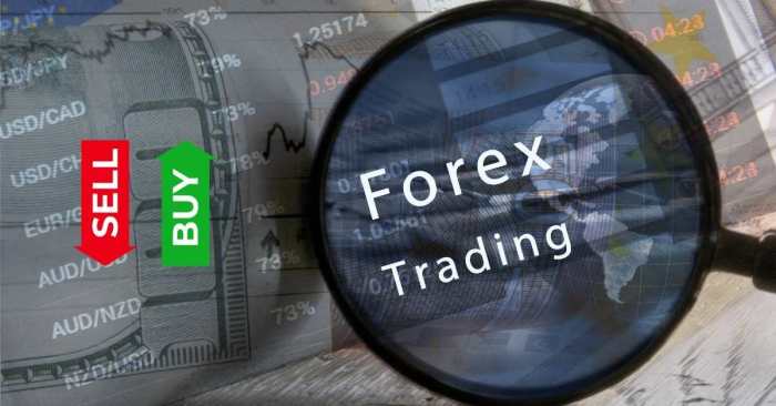 The Best Forex Trading Courses in 2025