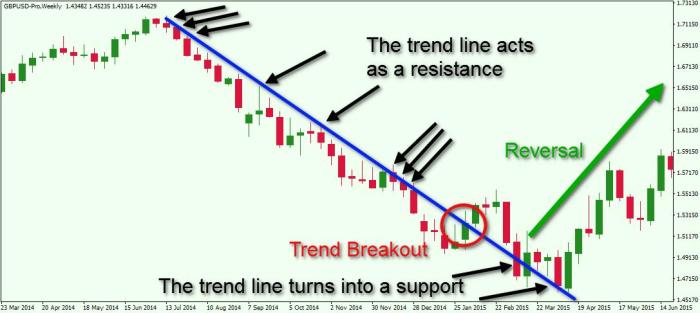 How to Analyze Forex Market Trends