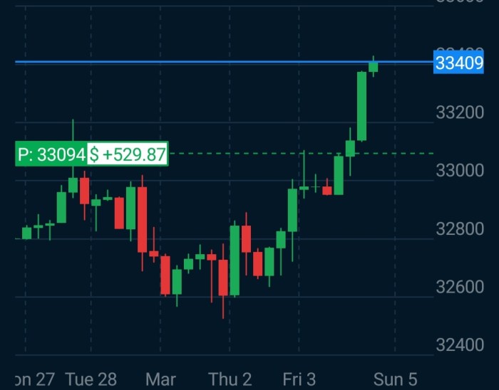 Forex trading profit per day