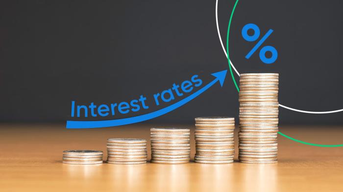 The Role Of Interest Rates In Forex Trading