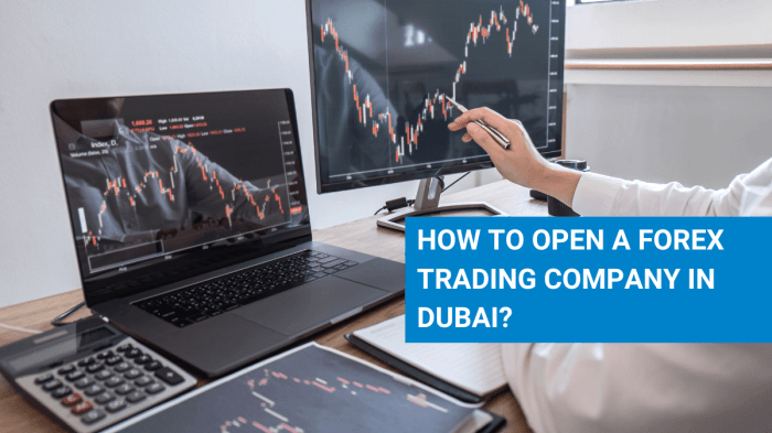 Forex trading in dubai