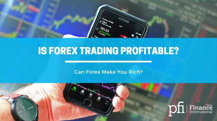 Forex trading profit per day