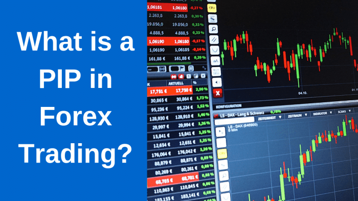 Pip forex pips calculate trading pipette cheat babypips crypto pipettes What Is a Pip in Forex Trading?