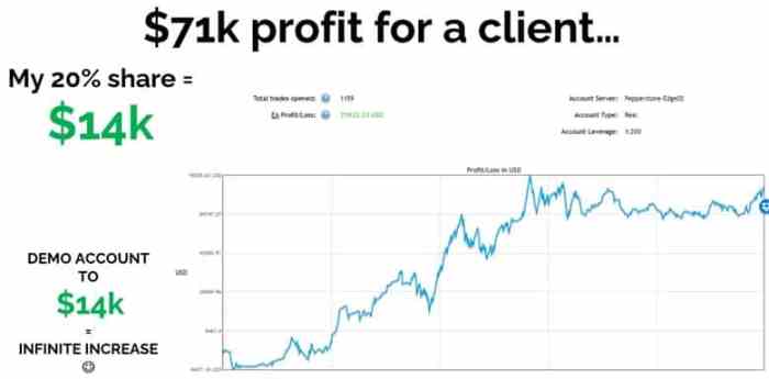 How to Maximize Profits in Forex Trading