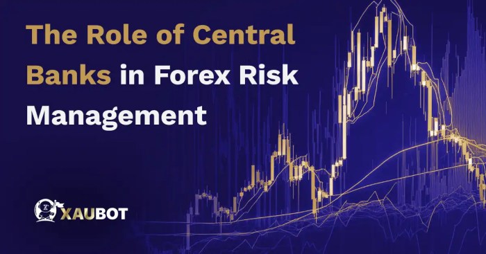 Understanding the Role of Central Banks in Forex Trading