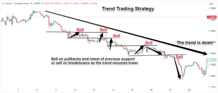 Day trading vs forex