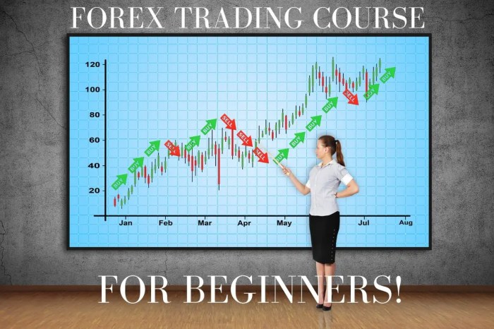 A Beginner’s Guide to Forex Spread Betting