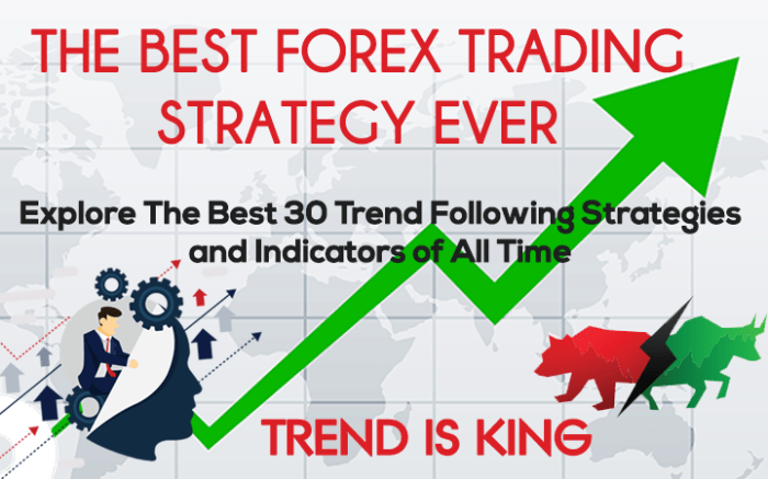 The Top Forex Trading Strategies for 2025