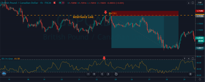 How to Maximize Profits in Forex Trading