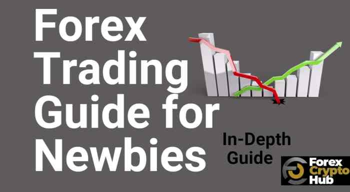A Complete Guide to Forex Trading for Women