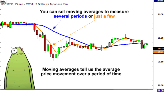 Forex beginners broker beginner