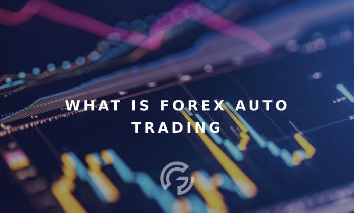 Auto forex trading