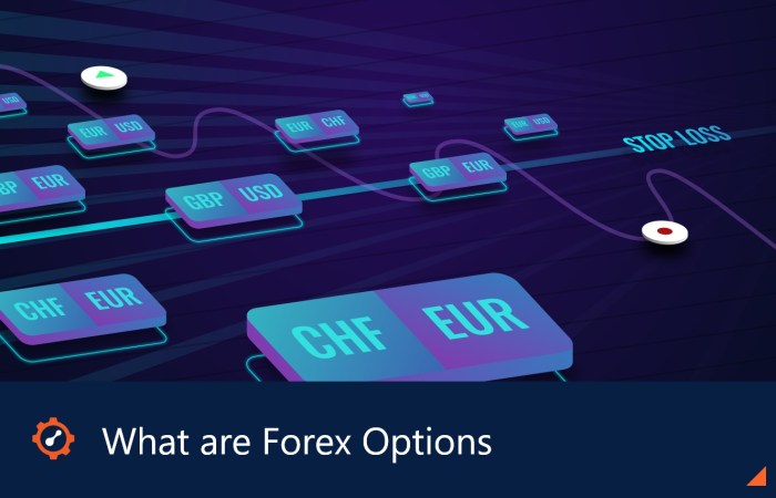 Options forex brokers Options forex brokers