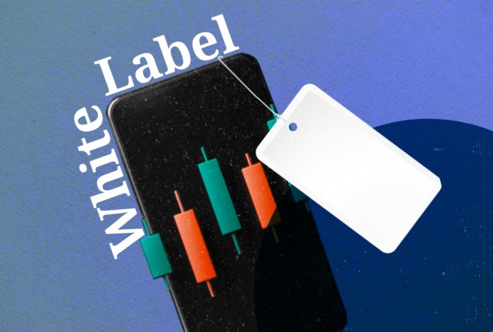 White label forex trading platform